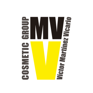 Logo VMV Group